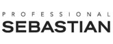 Logo Professional Sebastian